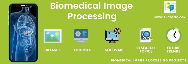 Biomedical Image Processing Concepts Explained