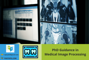 PhD Guidance in Medical Image Processing Online