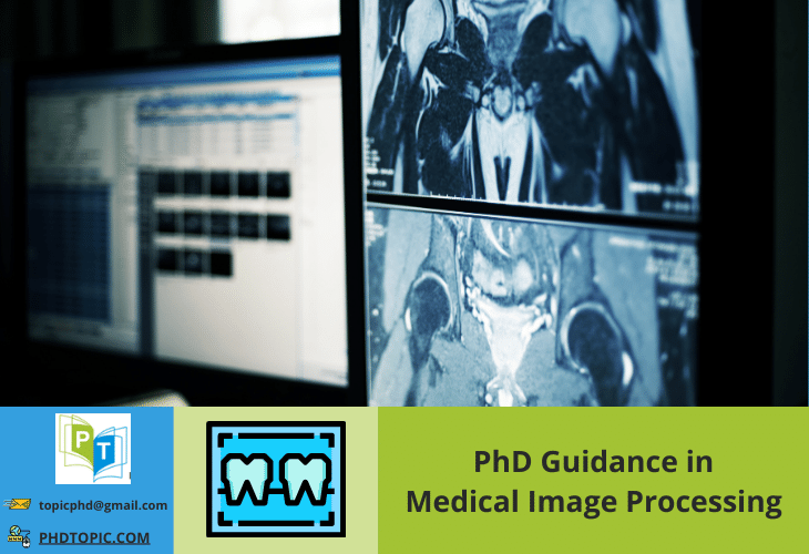 PhD Guidance in Medical Image Processing Online 
