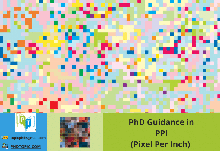PhD Guidance in PPI Online 
